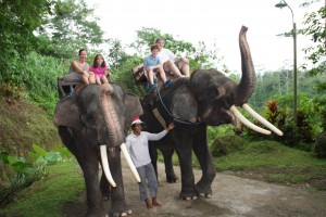 bali-elephant-ride-03