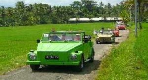 vw-safari-bali-tours-bali-golden-tour