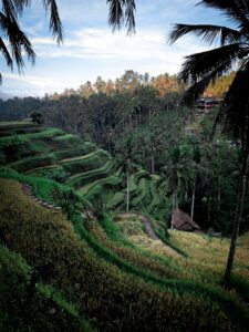 UBUD ART VILLAGE TOUR